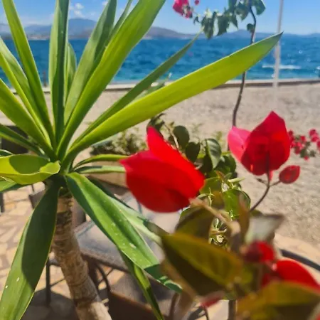 Bioena Sarande