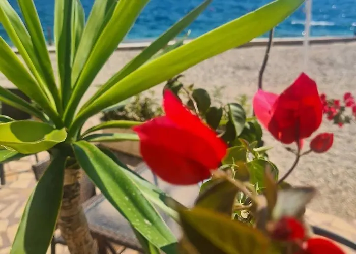 Bioena Sarandë